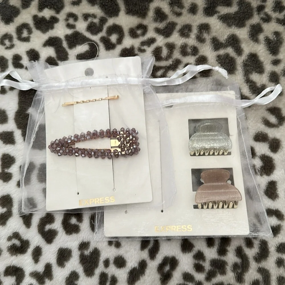 Express Miscellaneous Hair Clips in Gold 2019